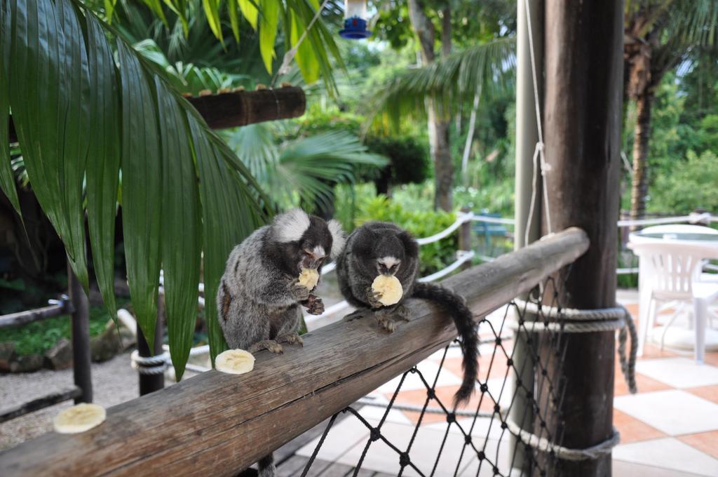 Pousada Águas de Parati Esterno foto